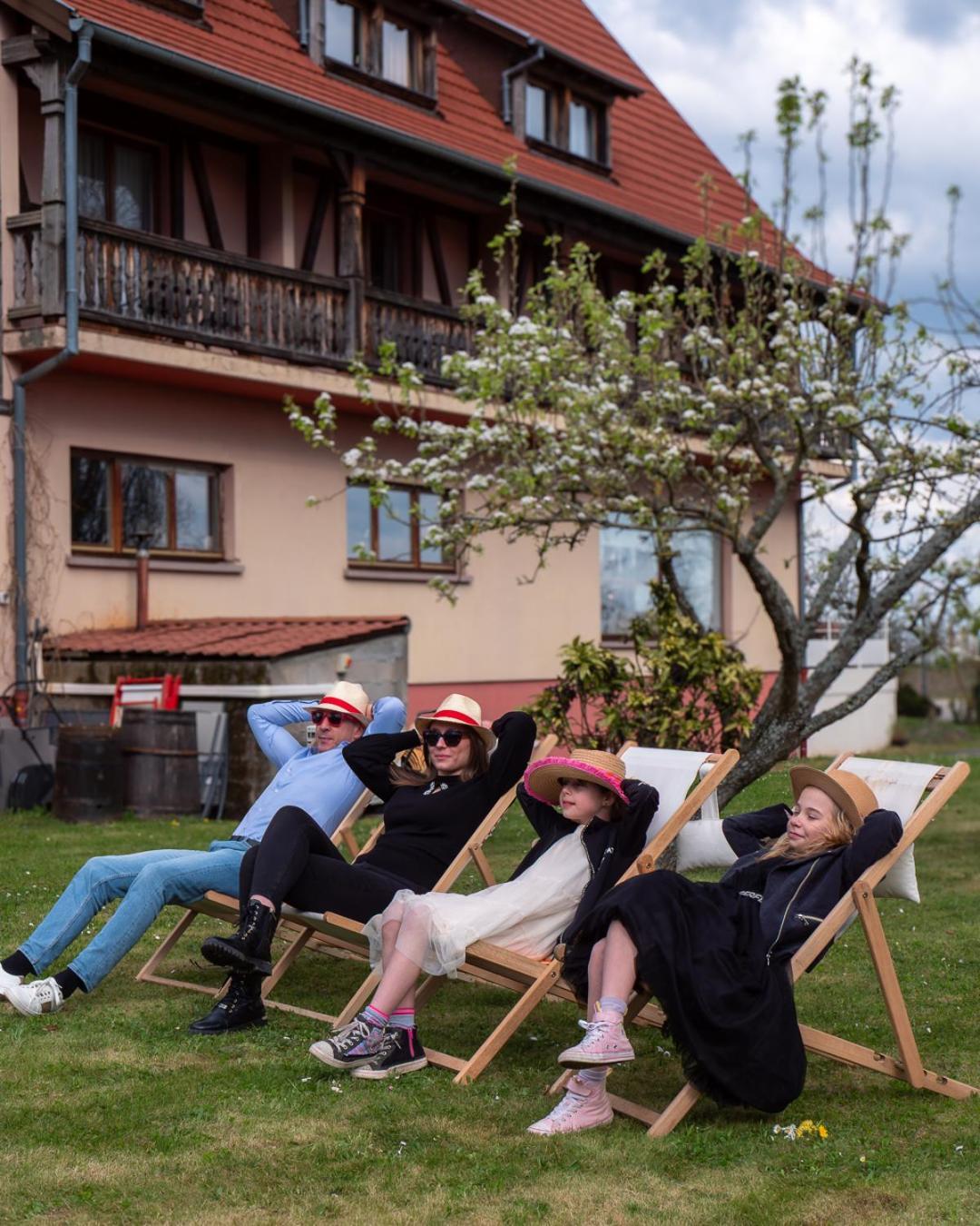 Hotel Restaurant Verger Des Chateaux, Route Des Vins Haut-Koenigsbourg Dieffenthal Eksteriør billede