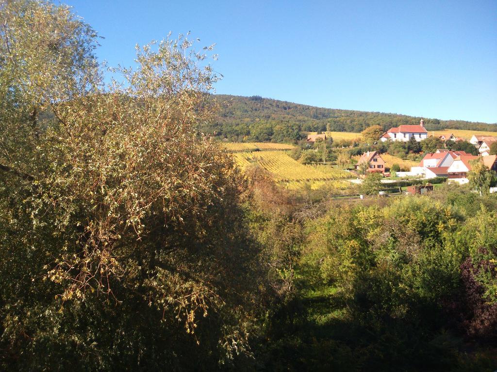 Hotel Restaurant Verger Des Chateaux, Route Des Vins Haut-Koenigsbourg Dieffenthal Eksteriør billede