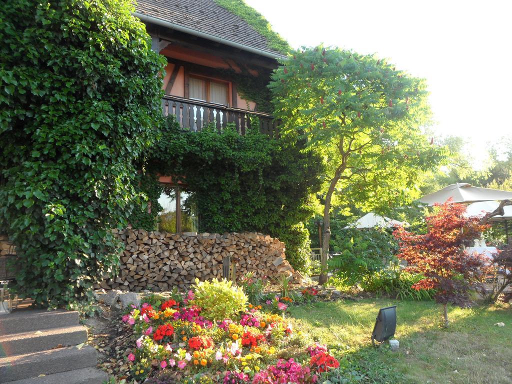 Hotel Restaurant Verger Des Chateaux, Route Des Vins Haut-Koenigsbourg Dieffenthal Eksteriør billede