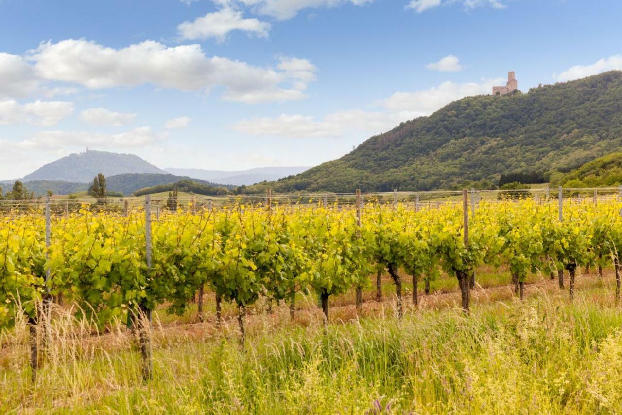 Hotel Restaurant Verger Des Chateaux, Route Des Vins Haut-Koenigsbourg Dieffenthal Eksteriør billede